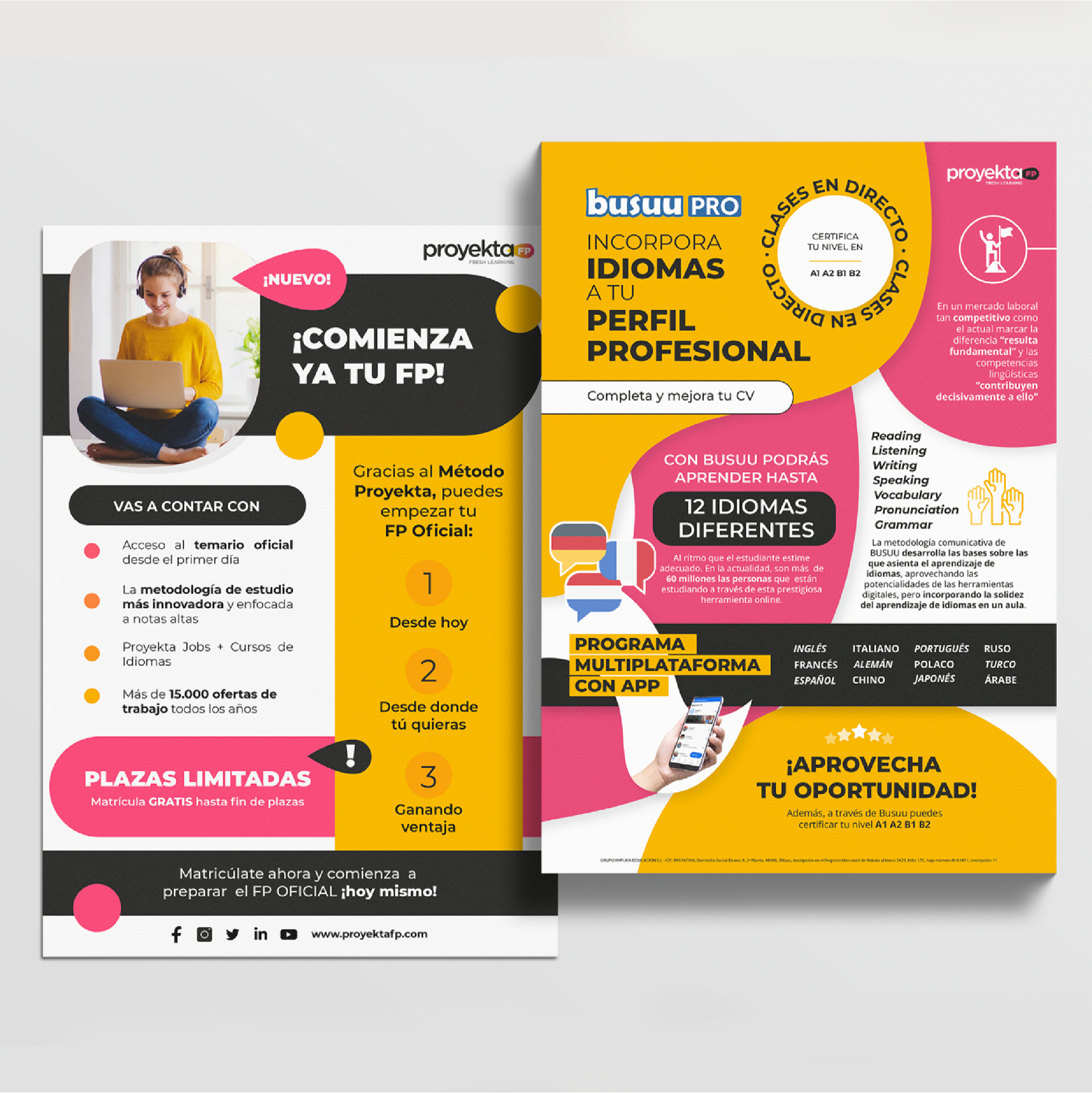 Flyer Proyekta